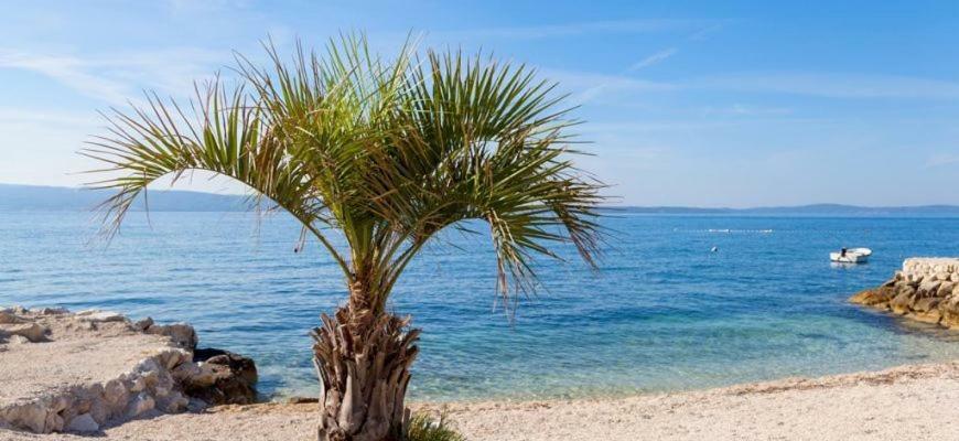 Apartman Dioniz Split Bagian luar foto
